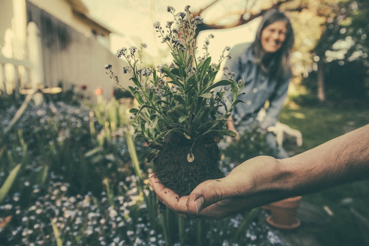 Top Tools Every Gardener Should Own