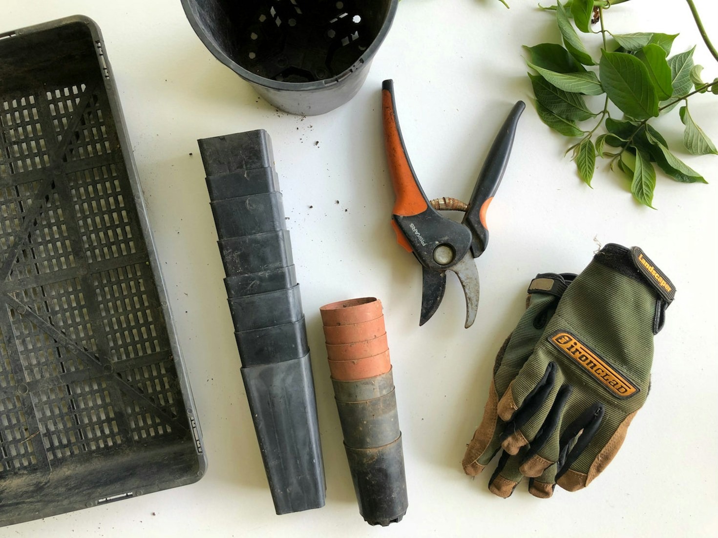The Benefits of Professional Gardening Services