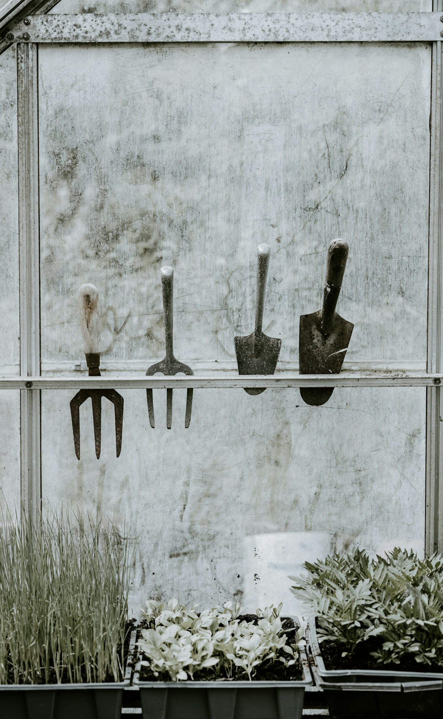 Creative Ideas for Small Space Gardening